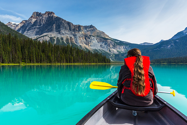 summer‘s coming trimm your sheeps