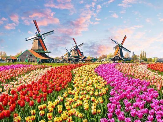Süper Promo Büyük Benelüks Paris Almanya AJet Hava Yolları 7 Gece