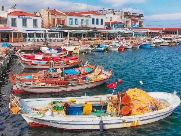 urla-enginar-festivali-turu-1-gece