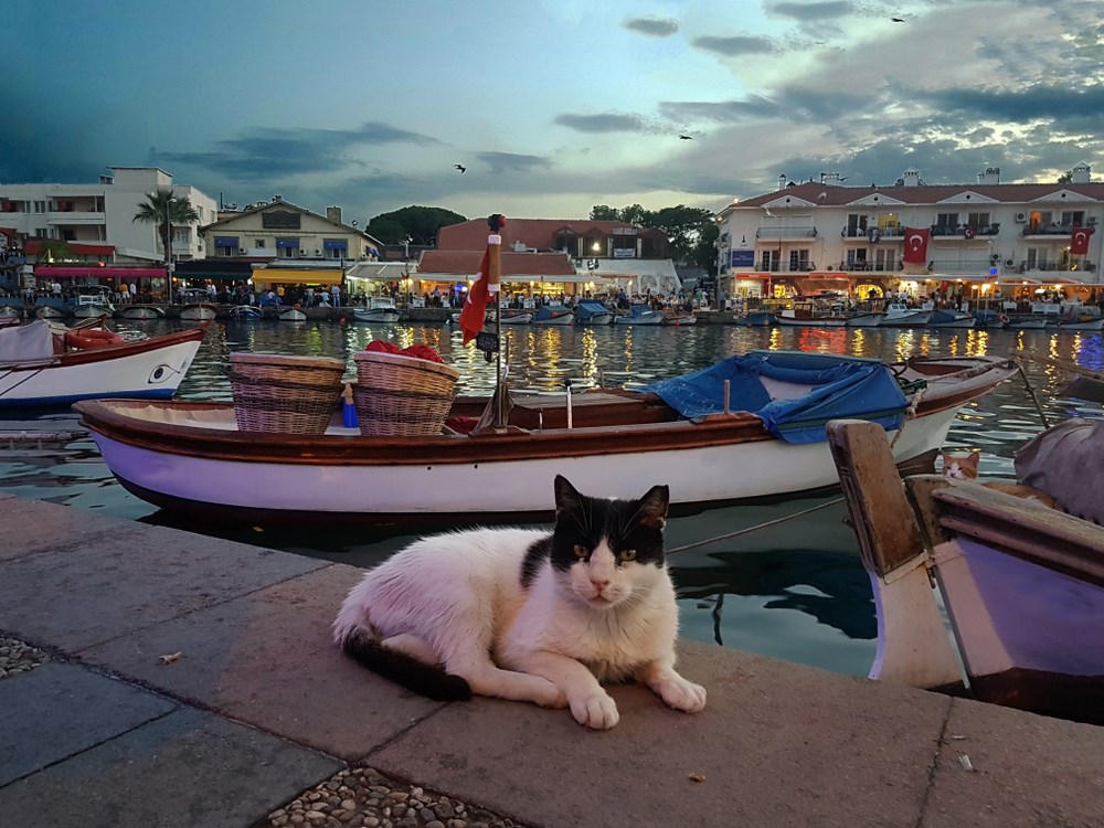 urla-enginar-festivali-ve-kusadasi-turu-2-gece