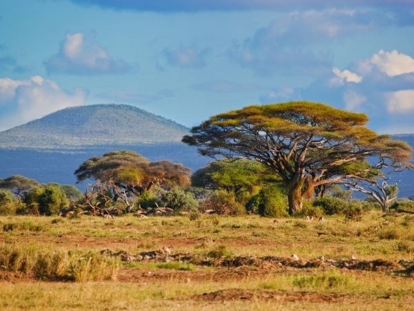 guney-afrika-turu