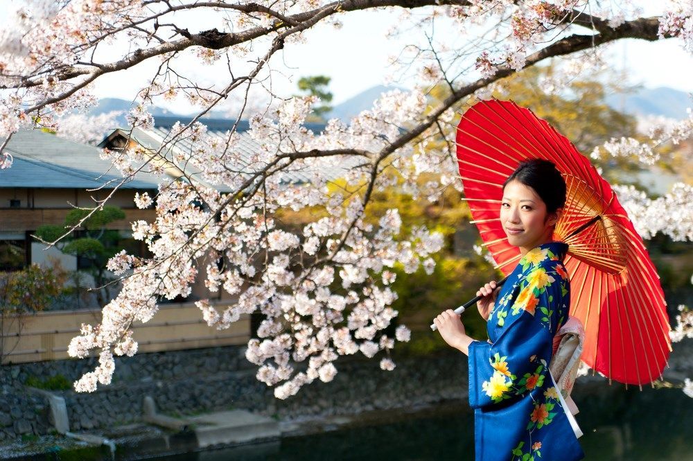 guney-kore--japonya-turu