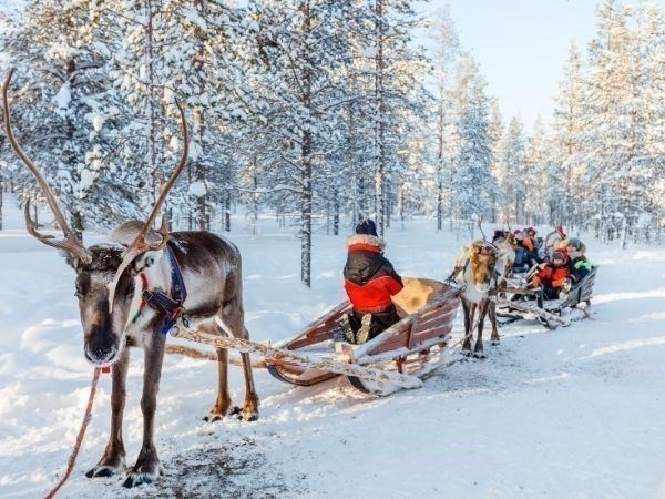 **YILBAŞI**Lapland Büyülü Kuzey Işıkları Masalı Türk Hava Yolları 4 Gece (Noel Baba Köyü ve Yılbaşı Yemeği Dahil)