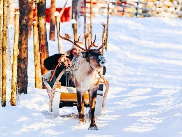 Büyüleyici Kuzey Işıkları Lapland Türk Hava Yolları 3 Gece (Tüm Turlar Dahil)