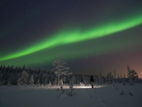 Kuzey Işıkları İmparatorluk Masalı ;Murmansk Kuzey Işıkları St Petersburg Moskova  Aeroflot Hava Yolları 5 Gece 