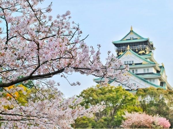 Sakura Zerafeti Japonya Türk Hava Yolları 7 Gece (Tüm Turlar Dahil)