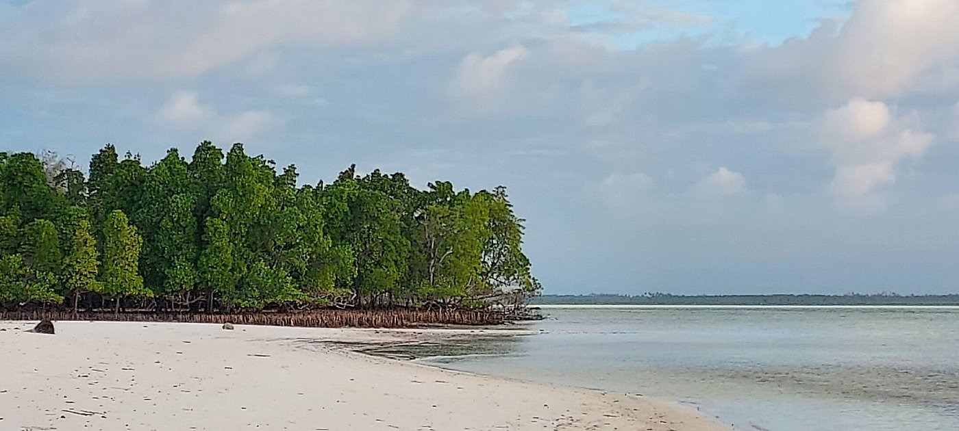 zanzibar-tatili--eden-paradise