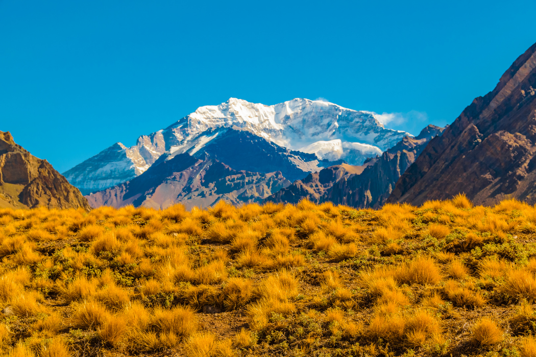 Aconcagua