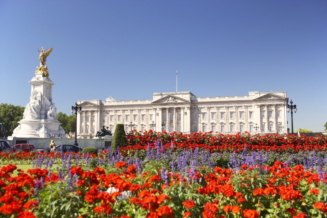 Buckingham sarayı
