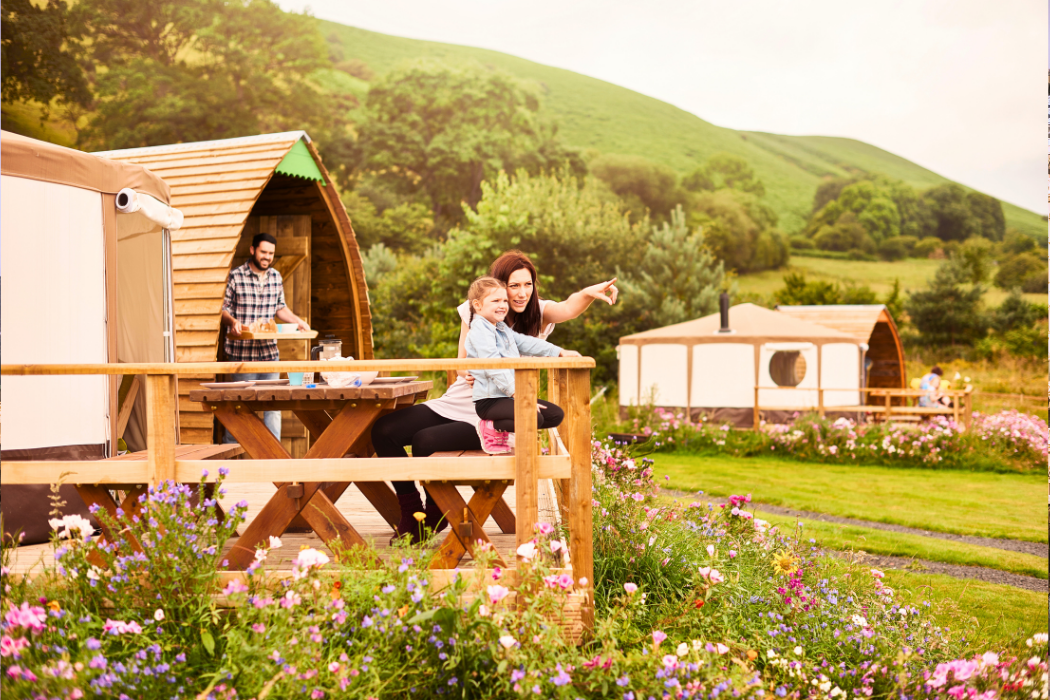 glamping ne demek