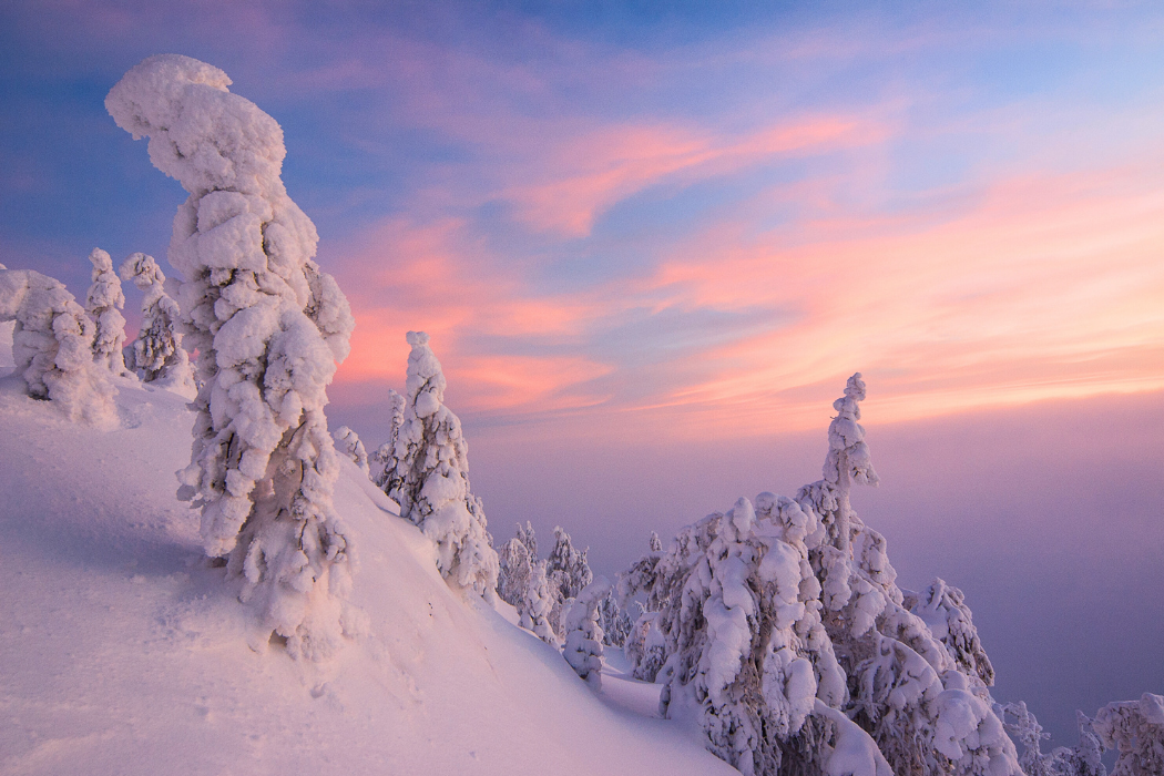 Lapland Doğal Güzellikleri