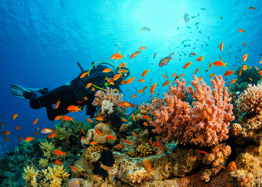 zanzibar'da ne yapılır