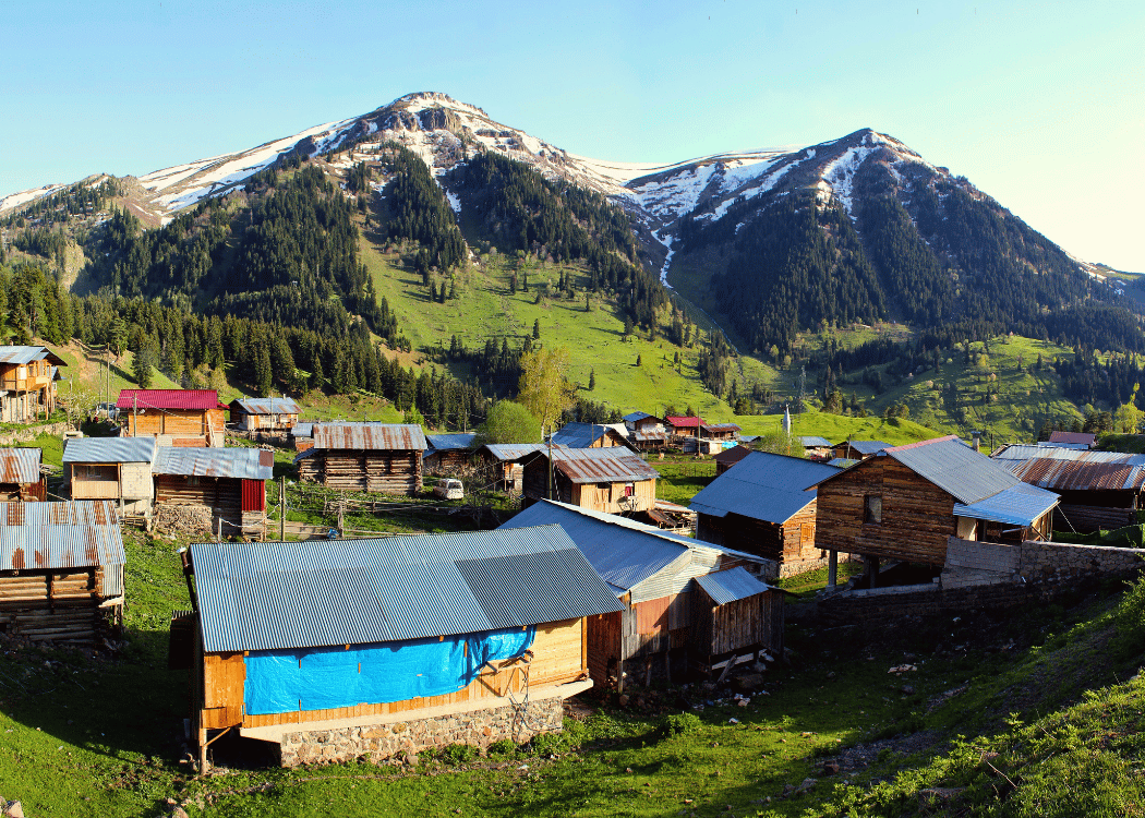 şavşat artvin
