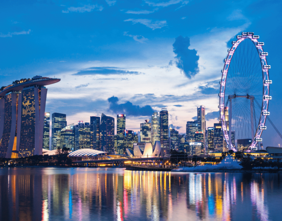 singapur vize istiyor mu