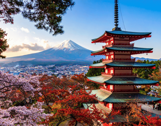 japonya vize istiyor mu