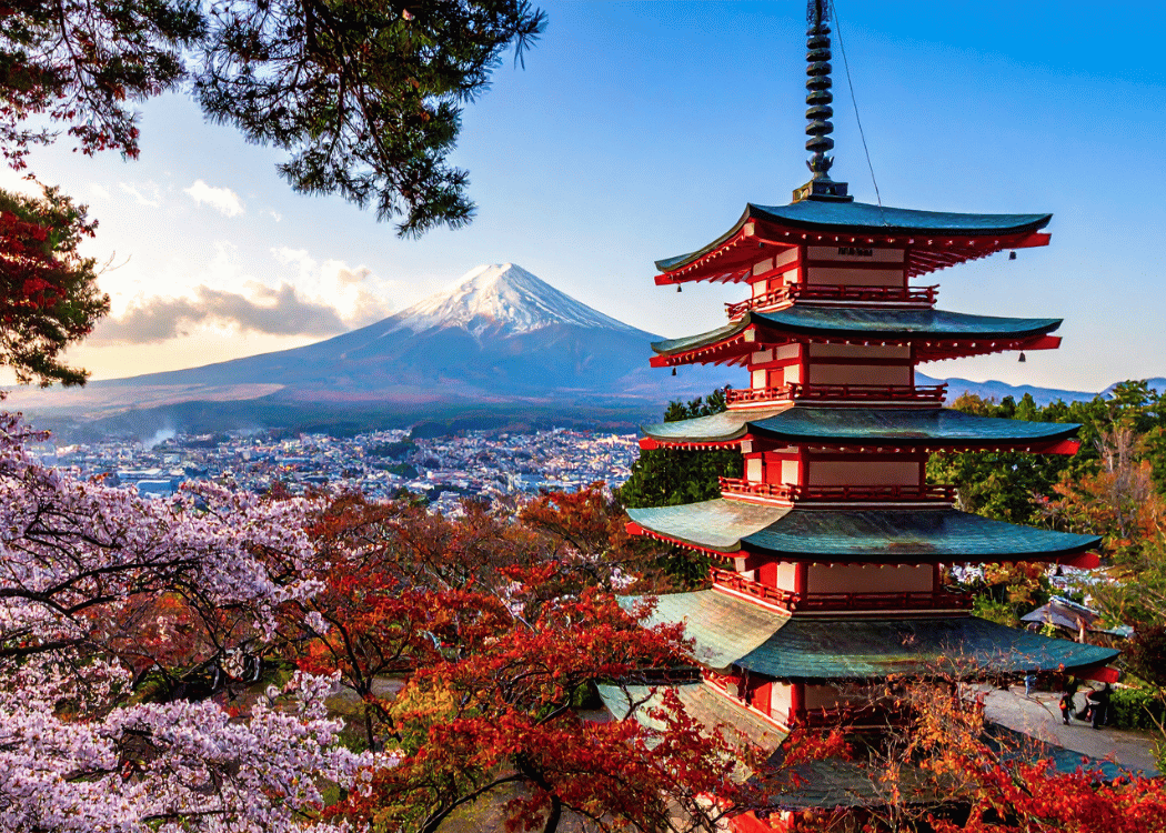 japonya vize istiyor mu