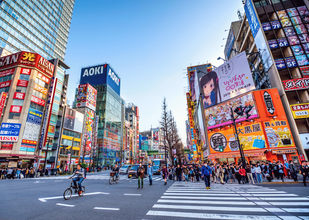 japonya vizeli mi