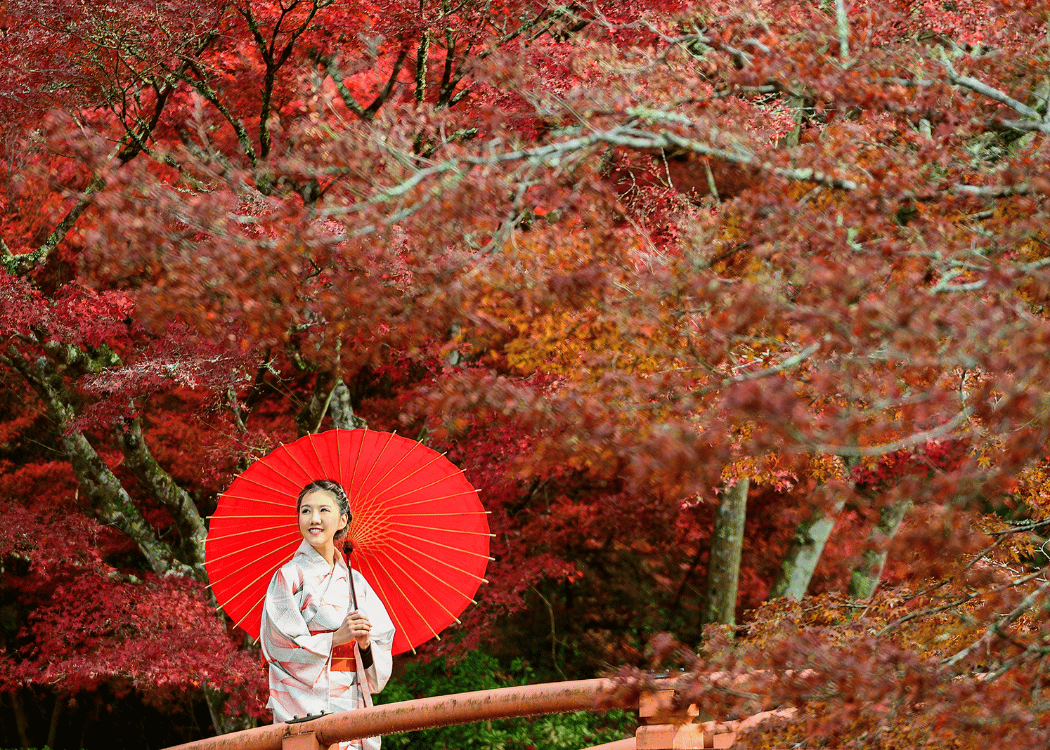 japonya vizesiz