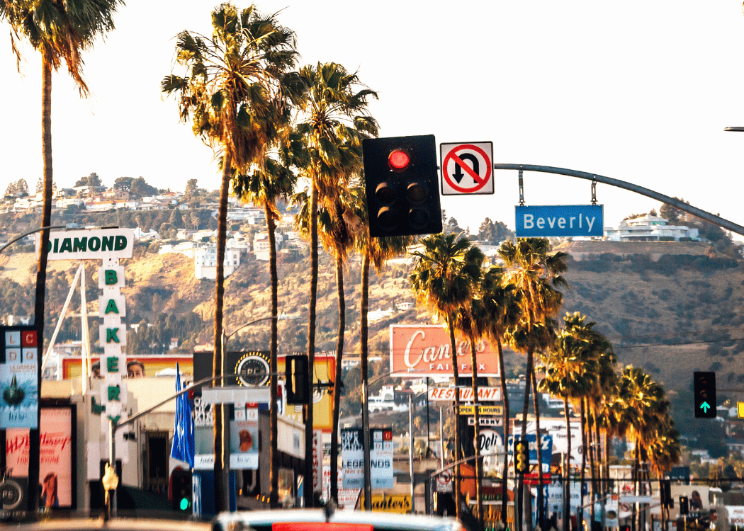 los angeles nereler gezilir