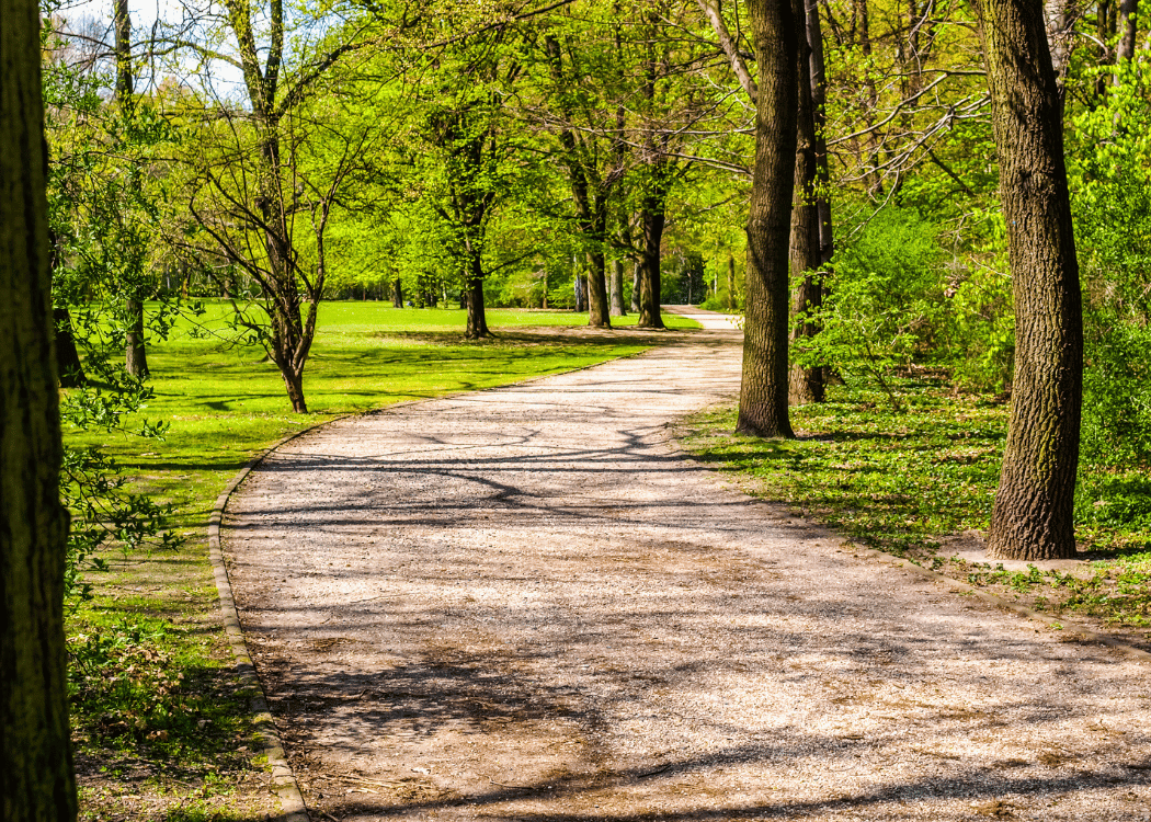 tiergarten parkı