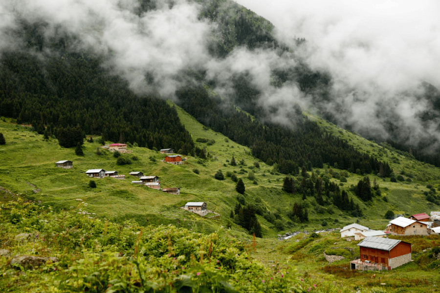Karadeniz’de Ne Yenir