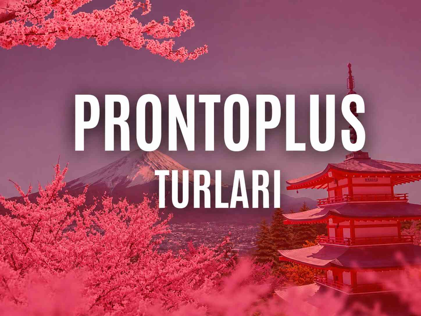 Pronto Blu Turları