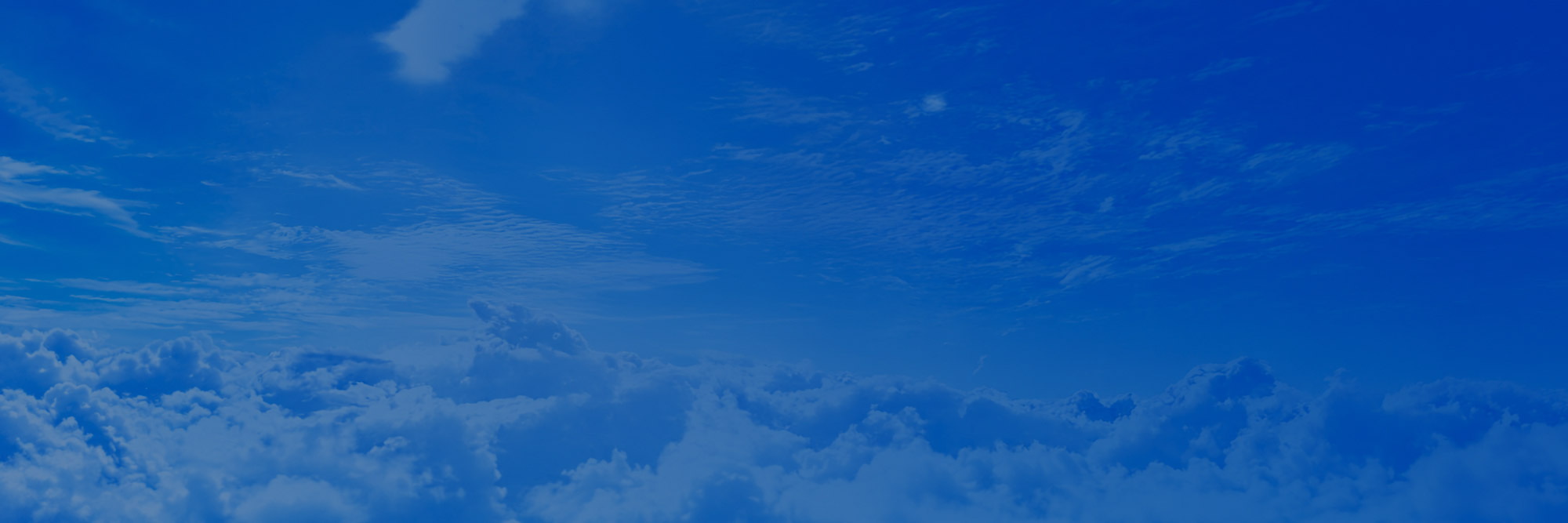 Ana Banner