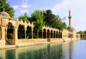 Lütfen Resimleri Görüntüleyiniz