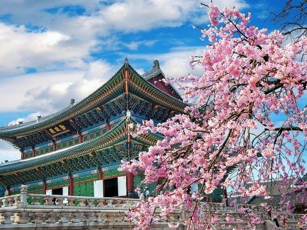 Diamond Princess ile Baştan Sona Büyük Japonya& Güney Kore