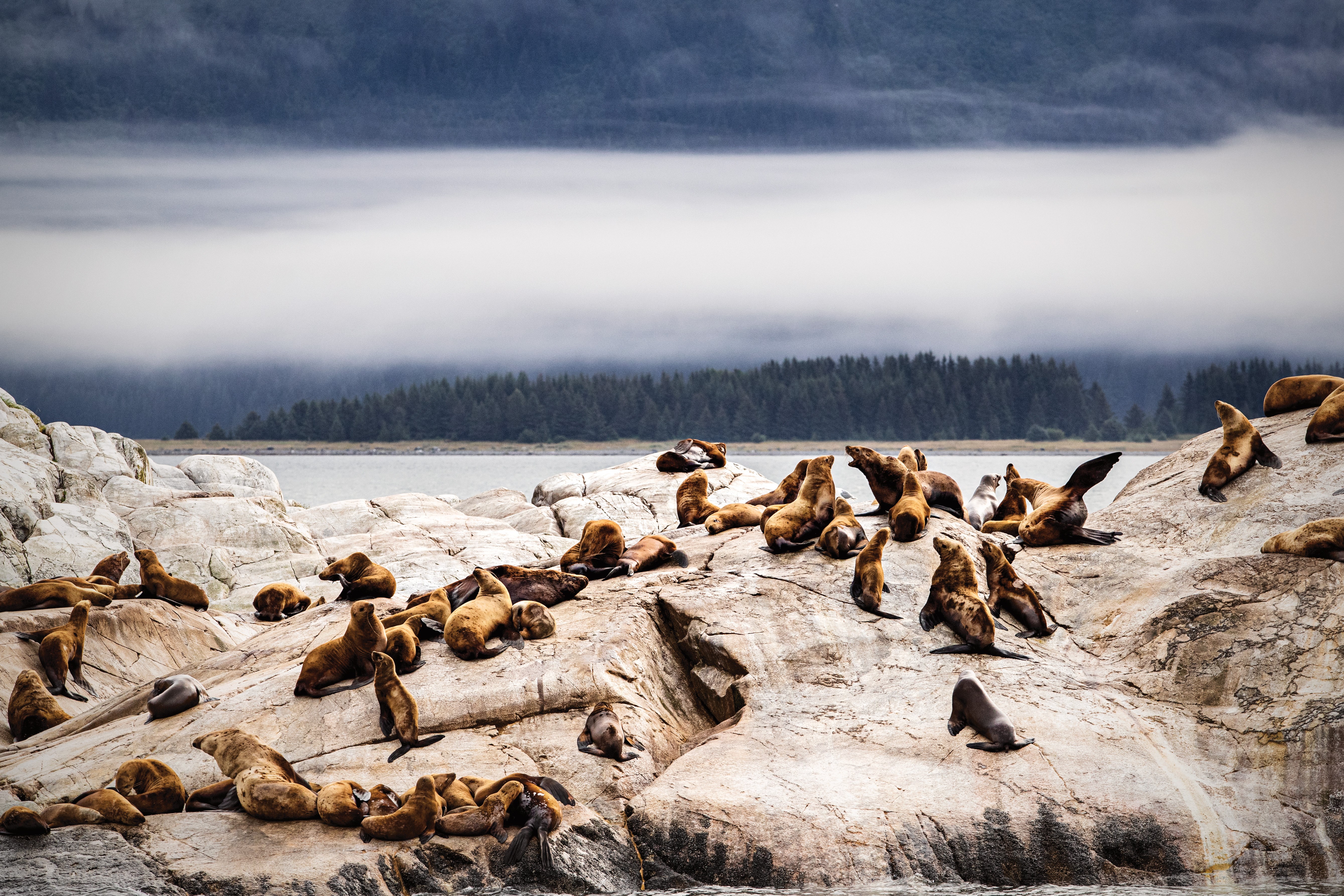 Discovery Princess ile Alaska ve Kanada ''Kurban Bayramı''