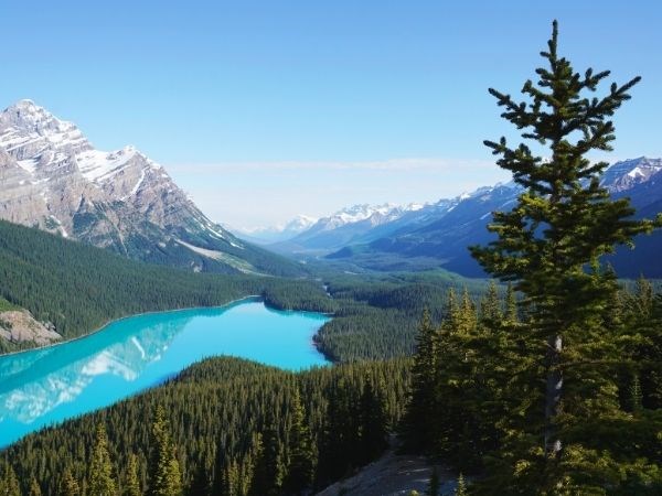 ''Kraliçelerin Gemisi'' Luxury Cruise,Queen Elizabeth ile Alaska & Kanada Cruise Only 