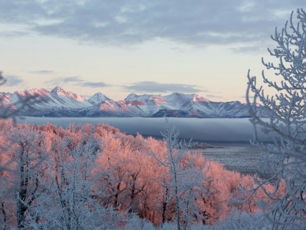 ''Kraliçelerin Gemisi'' Luxury Cruise,Queen Elizabeth ile Alaska & Kanada Cruise Only 