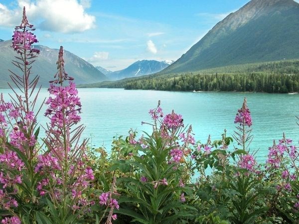 ''Kraliçelerin Gemisi'' Luxury Cruise,Queen Elizabeth ile Alaska & Kanada Cruise Only 