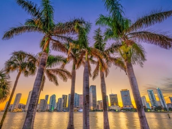 Miami Rotası Türk Hava Yolları 6 Gece
