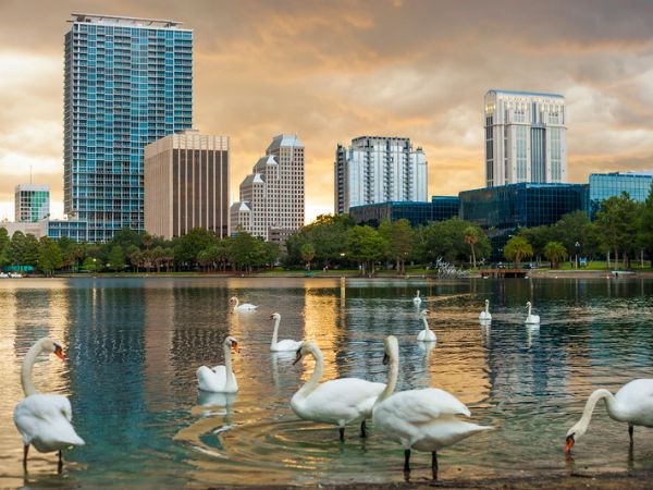 New York Orlando Miami Doğu Amerika Rotası Türk Hava Yolları 7 Gece 