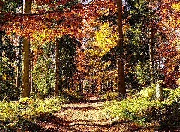 Kastamonu Kanyonlar Safranbolu ve Zonguldak Turu 1 Gece