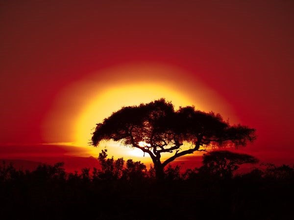 Dolu Dolu Güney Afrika Safari Rotası Türk Hava Yolları 6 Gece