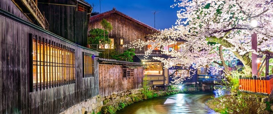 Elegant Japonya Güney Kore Türk Hava Yolları 9 Gece