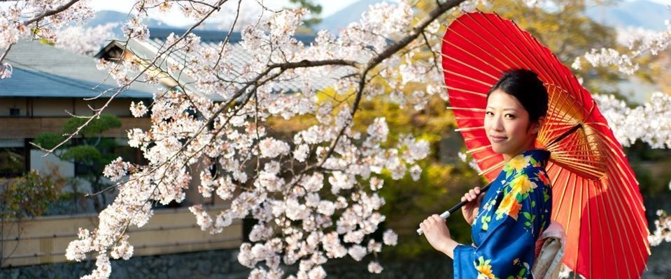Elegant Japonya Güney Kore Türk Hava Yolları 9 Gece