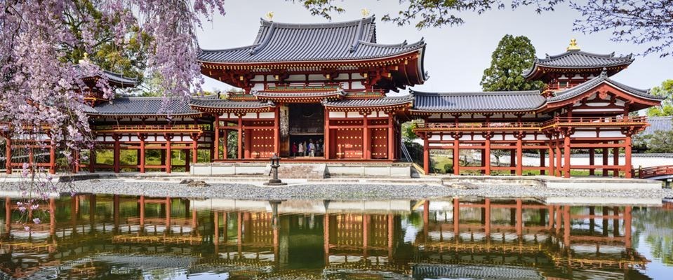 Elegant Japonya Güney Kore Türk Hava Yolları 9 Gece