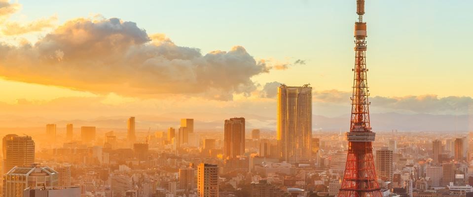 Elegant Japonya Güney Kore Türk Hava Yolları 9 Gece