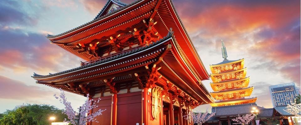 Elegant Japonya Güney Kore Türk Hava Yolları 9 Gece