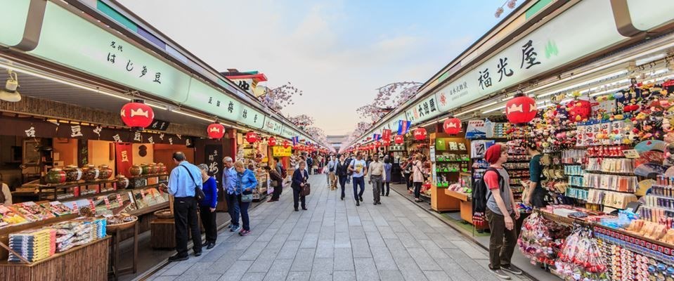Elegant Japonya Güney Kore Türk Hava Yolları 9 Gece