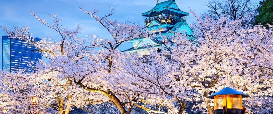 Elegant Japonya Güney Kore Türk Hava Yolları 9 Gece