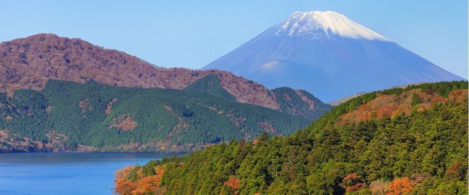 Japonya Kore Mistik Rotalar Türk Hava Yolları 7  Gece