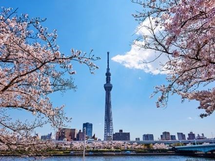 Uzak Doğu'nun Güneşi ve Çiçeği Güney Kore ve Japonya Qatar Hava Yolları 9 Gece 