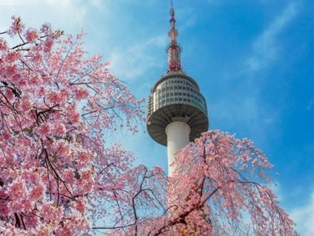 Uzak Doğu'nun Güneşi ve Çiçeği Güney Kore ve Japonya Qatar Hava Yolları 9 Gece 