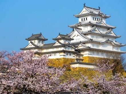 Uzak Doğu'nun Güneşi ve Çiçeği Güney Kore ve Japonya Qatar Hava Yolları 9 Gece 
