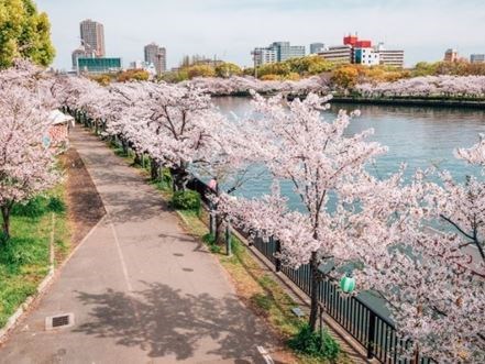 Uzak Doğu'nun Güneşi ve Çiçeği Güney Kore ve Japonya Qatar Hava Yolları 9 Gece 