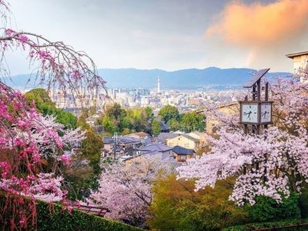 Uzak Doğu'nun Güneşi ve Çiçeği Güney Kore ve Japonya Qatar Hava Yolları 9 Gece 